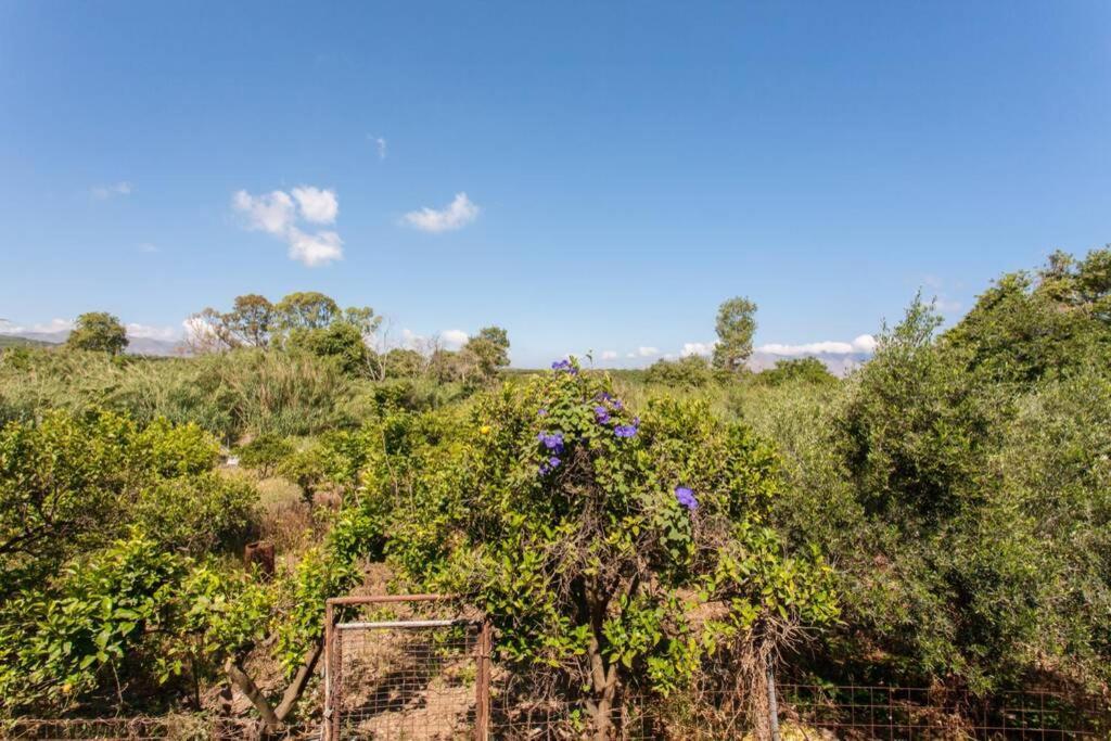 הוילה קיסאמוס Kaktos 1 מראה חיצוני תמונה